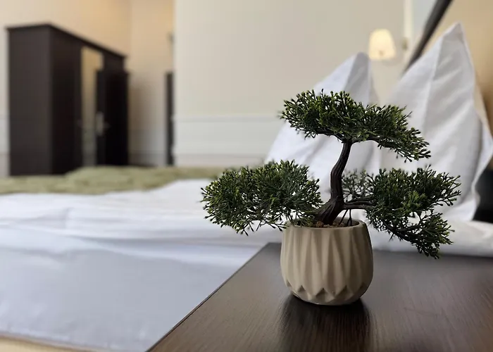 Stadium Park 敖德萨