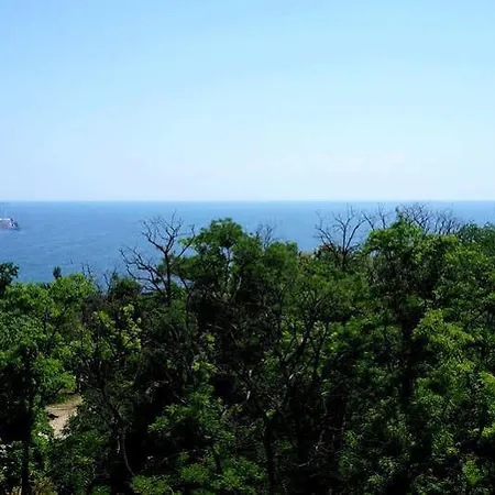 Hotel Black Sea Park Shevchenko 5*